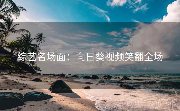 综艺名场面：向日葵视频笑翻全场