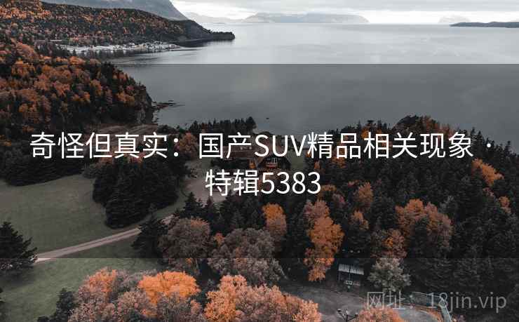奇怪但真实：国产SUV精品相关现象 · 特辑5383